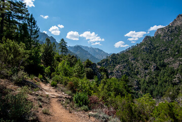 2024 08 30 corsica landscape 14.jpg