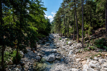 2024 08 30 corsica landscape 22.jpg