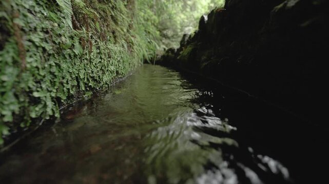 A low-angle shot over a flowing levada on the PR9 Levada do Caldeir&atilde;o Verde trail in Madeira. Moss and ferns line the sides of the channel as the water flows calmly, creating a serene