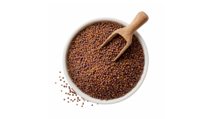 Brown mustard seeds in a white bowl with a wooden scoop on a black background