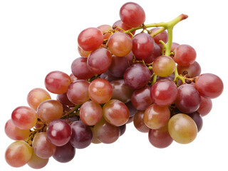 Fresh Red Grapes Cluster Hanging from Green Stem, Bunch of Ripe Purple Berries, Juicy Vineyard Fruit Closeup on transparent background