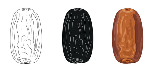 Date Seeds Vector Set in Three Styles &mdash; Line Art, Silhouette and Color Version for Islamic Design, App UI, Posters and Branding	