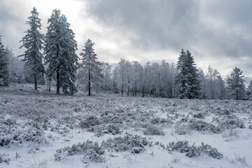 Winterliche Grindefl&auml;chen im Nationalpark Schwarzwald