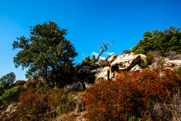 2024 08 30 corsica landscape 35.jpg