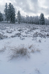 Winterliche Grindefl&auml;chen im Nationalpark Schwarzwald