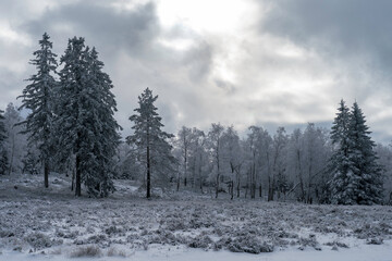 Winterliche Grindefl&auml;chen im Nationalpark Schwarzwald
