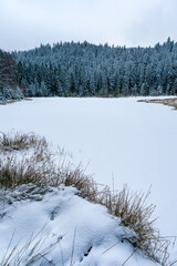 Buhlbachsee im Nationalpark Schwarzwald