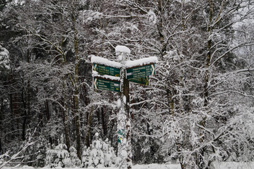 Naturschutzgebiet Fischbeker Heide im Winter 