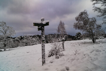 Naturschutzgebiet Fischbeker Heide im Winter 