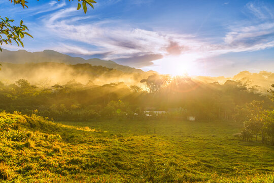 Golden sunrise over misty meadow - Powered by Adobe