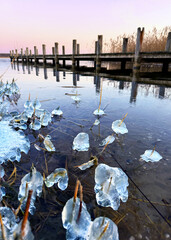 frozen ice on the reed at the winter beach