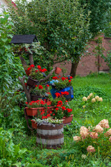 Summer garden with a variety of flowers and plants, including few potted plants in containers. Garden decoration. Flowers and plants decorated in bird feeder wooden barrel and vintage motorcycle