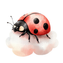 Fototapeta premium Cute Ladybug Illustration on White Cloud on transparent background