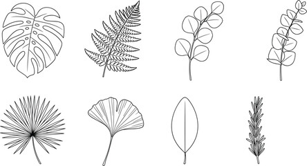 Hand drawn botanical leaf collection set featuring monstera fern eucalyptus ginkgo and palm leaves in black and white cad drawing flat vector illustration © Mostafizar