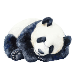 Cute Panda Sleeping Peacefully on Transparent Background