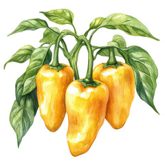 Yellow Bell Peppers with Leaves on Transparent Background