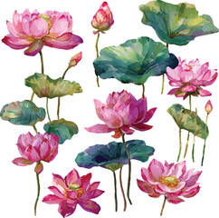 collection of flowers