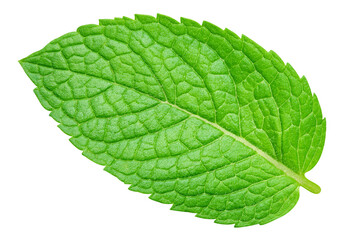 Obraz premium Mint isolated on transparent background. Mint leaves PNG