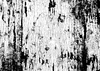 Large vector tree bark texture with a transparent background