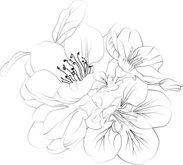 Elegant Floral Silhouette Arrangement with Flowers and Quince, hand-drawn Quince flower leaf, and vector illustration isolated on a white background