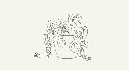 Obraz premium Delicate line drawing of a pilea peperomioides houseplant in a pot, featuring round pancake-shaped leaves in a minimalist style.