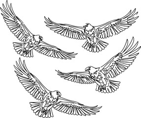 Three Majestic Eagles Continuous Line Art Illustration Bold Detailed White Background