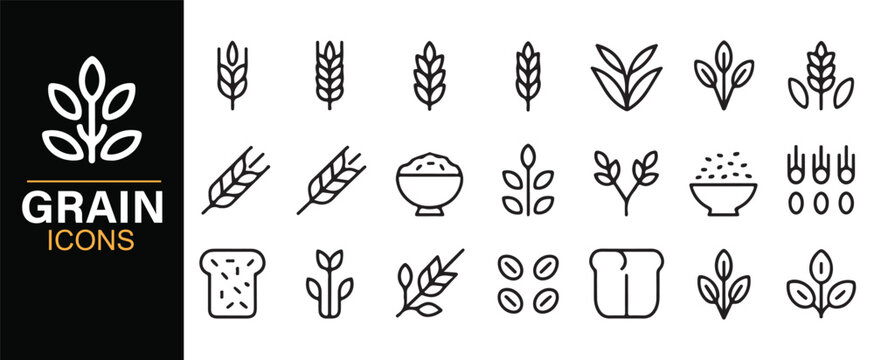 Wheat rice and grain outline icons for farming and nutrition designs