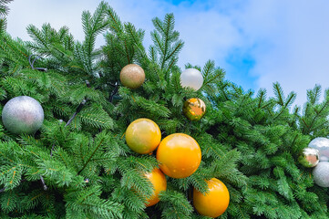 Christmas ornaments on tree