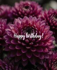 Purple dahlia with happy birthday text on blooming petals