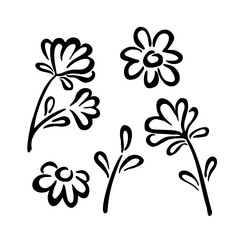 Vector floral elements. Flowers and leaves. Hand-drawn sketch with black brush. Abstract primitive botanical drawing isolated on white background.