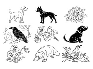 Obraz premium coloring page line art the animal bird and flower black vector bundle