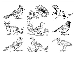 coloring page line art the animal bird and flower black vector bundle