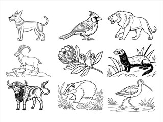 coloring page line art the animal bird and flower black vector bundle