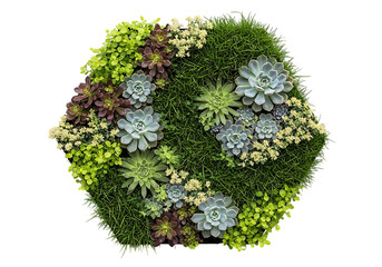 Vibrant succulent garden arrangement