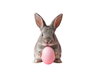 Obraz premium Cute gray bunny holding pink easter egg isolated on transparent background