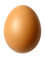 Brown egg on a transparent background, simple and elegant