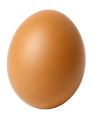 Brown egg on a transparent background close-up