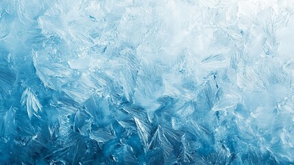 Obraz premium A close-up view of intricate ice crystals on a frosty surface with a gradient of blue and white hues