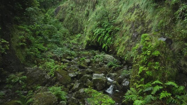 Smooth drone flight descending into a narrow gorge beneath an old stone bridge on PR6 Levada das 25 Fontes during rainy weather. The camera glides forward just above a shallow mountain stream flowing 
