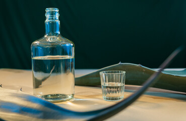 Mezcal bottle and glass with agave leaves