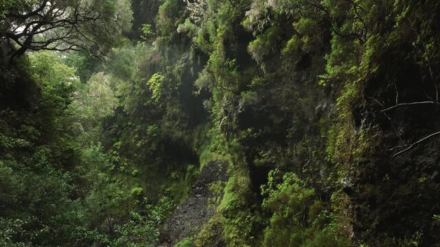 Cinematic drone footage flying beneath an old stone bridge on PR6 Levada das 25 Fontes during heavy rain and fog. Moss-covered walls and surrounding greenery create a mysterious