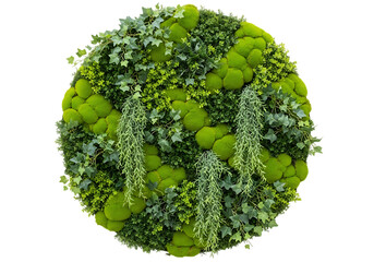 Vibrant green moss ball arrangement