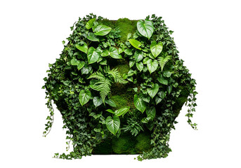 Lush green vertical garden