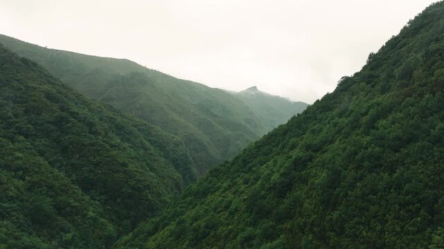 Aerial view of a V-shaped valley along PR6 Levada das 25 Fontes, Madeira, fully covered in dense greenery and soft mist. The scene showcases subtropical forest, rolling fog, and serene natural beauty