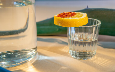Mezcal shot with worm salt, orange slice, and agave leaf