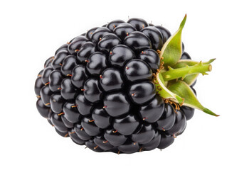 Blackberry fruit isolated on transparent background