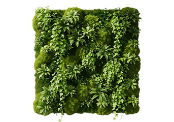 Vertical garden with lush green plants