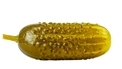 Isolated Whole Dill Pickle 