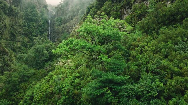 A cinematic aerial drone shot along the PR6 Levada das 25 Fontes in Madeira. The flight starts above the historic stone bridge and moves toward Cascata do Risco waterfall