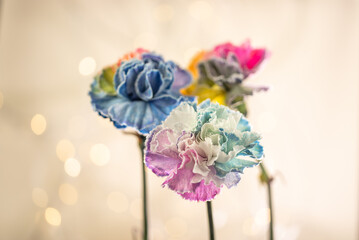 Eleganckie goździki o wielotonowych płatkach &ndash; romantyczny motyw na kartki na życzenia.